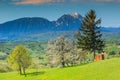 Spring landscape and green fields in Transylvania, Holbav, Romania, Europe Royalty Free Stock Photo