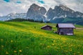 Spring landscape with green fields and yellow dandelions, Dolomites, Italy