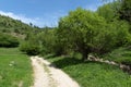 Spring landscape of Green Hills near village of Fotinovo in Rhodopes Mountain, Bulgaria Royalty Free Stock Photo