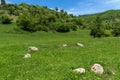 Spring landscape of Green Hills near village of Fotinovo in Rhodopes Mountain, Bulgaria Royalty Free Stock Photo