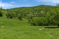 Spring landscape of Green Hills near village of Fotinovo in Rhodopes Mountain, Bulgaria Royalty Free Stock Photo