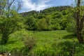 Spring landscape of Green Hills near village of Fotinovo in Rhodopes Mountain, Bulgaria Royalty Free Stock Photo