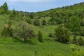 Spring landscape of Green Hills near village of Fotinovo in Rhodopes Mountain, Bulgaria Royalty Free Stock Photo