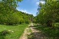 Spring landscape of Green Hills near village of Fotinovo in Rhodopes Mountain, Bulgaria Royalty Free Stock Photo