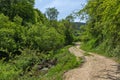 Spring landscape of Green Hills near village of Fotinovo in Rhodopes Mountain, Bulgaria Royalty Free Stock Photo