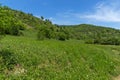 Spring landscape of Green Hills near village of Fotinovo in Rhodopes Mountain, Bulgaria Royalty Free Stock Photo