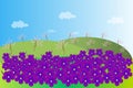 The spring landscape. Green hills, purple violets with a yellow center, blooming garden, trees with brown trunks and pink flowers, Royalty Free Stock Photo