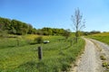 Spring landscape with pastures fenced by an electric fence