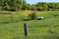 Spring landscape with pastures fenced by an electric fence