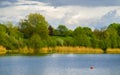 Spring landscape with green trees and reeds at lake, blue water surface Royalty Free Stock Photo