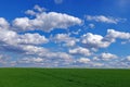 Spring Landscape: Green Wheat Field And Blue Sky With Fluffy Clouds. Beautiful Background