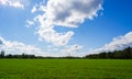 Spring landscape. Green wheat field in spring. Agriculture. Green grass, trees on the horizon blue sky. Sunny bright day Royalty Free Stock Photo