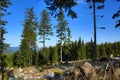 Spring Landscape, Hartmanice, Bohemian Forest (ÃÂ umava), Czech Republic