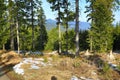 Spring Landscape, Hartmanice, Bohemian Forest (ÃÂ umava), Czech Republic