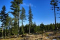 Spring Landscape, Hartmanice, Bohemian Forest (ÃÂ umava), Czech Republic