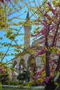The Spring Landscape in Istanbul Royalty Free Stock Photo