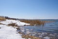 Spring landscape with a lake overgrown with reeds near the coast and a clear sky. Landscape with melting ice Royalty Free Stock Photo