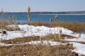 Spring landscape with a lake overgrown with reeds near the coast and a clear sky. Landscape with melting ice Royalty Free Stock Photo