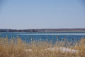 Spring landscape with a lake overgrown with reeds near the coast and a clear sky Royalty Free Stock Photo