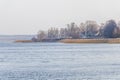 Spring landscape with lake overgrown with reeds near the coast, nature background with dry reed grass Royalty Free Stock Photo