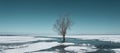 spring landscape from the lake shore, white ice cubes, blue sky, Lake Burtnieki, Latvia Royalty Free Stock Photo