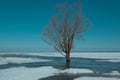 spring landscape from the lake shore, white ice cubes, blue sky, Lake Burtnieki, Latvia Royalty Free Stock Photo