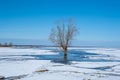 spring landscape from the lake shore, white ice cubes, blue sky, Lake Burtnieki, Latvia. Royalty Free Stock Photo