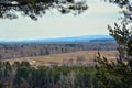 Spring landscape. Meadow and forest framed by pine branches. Blue mountains on the horizon. The blue gave.