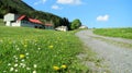 Spring Landscape with A Meadow of Wild Yellow and White Flowers and A Pathway in The Sunlight Royalty Free Stock Photo