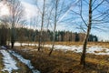 Spring Landscape Melting Snow At Edge Of Forest