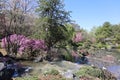 Spring landscape Montreal Quebe Royalty Free Stock Photo