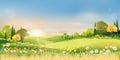 Spring landscape morning in countryside with sun rays shining through green meadow on hill with orange and blue sky,Vector cartoon Royalty Free Stock Photo