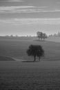 Spring Landscape in the Mostviertel of Lower Austria Royalty Free Stock Photo