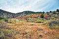 Multi Coloured Greek Rural Spring Landscape, Greece