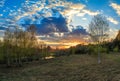 Spring landscape, multicolored sunset, the young birches