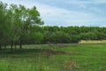 Spring landscape of nature of Russia. Forest landing near the river. Green grass and road. welcome to Russia