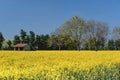 Spring landscape near Groppello Italy