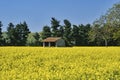 Spring landscape near Groppello Italy