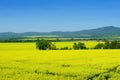 Spring landscape near Topolcany, Slovakia