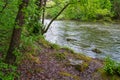 Spring landscape of Nera Gorges Natural Park, Romania, Europe