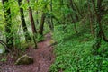 Spring landscape of Nera Gorges Natural Park, Romania, Europe