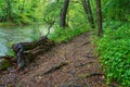 Spring landscape of Nera Gorges Natural Park, Romania, Europe