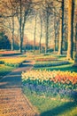 Spring landscape with park alley and multicolor flowers