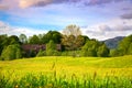 Spring Landscape with A Park of Yellow Buttercups, A Lone Tree, An Empty Bench and Clouds in The Colorful Sky Royalty Free Stock Photo