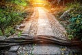 Spring landscape, The path is full of obstacles. There are trees in front of the corridor, But the way ahead also has hope and Royalty Free Stock Photo