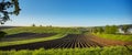 Spring Landscape with Plowed Field on the Background of Beautiful Blue Sky. Ploughed Soil. Agriculture Concept. Copy Space Royalty Free Stock Photo