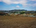 spring landscape with plowed field, colorful trees