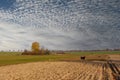 Spring landscape in Podlasie, fresh spring green Royalty Free Stock Photo