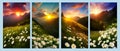 Spring landscape poppy field on background mountains with. Sunset sky, wildlife