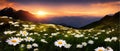 Spring landscape poppy field on background mountains with. Sunset sky, wildlife